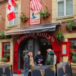 dARKEY kELLYS 2